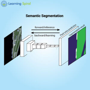 Semantic Segmentation