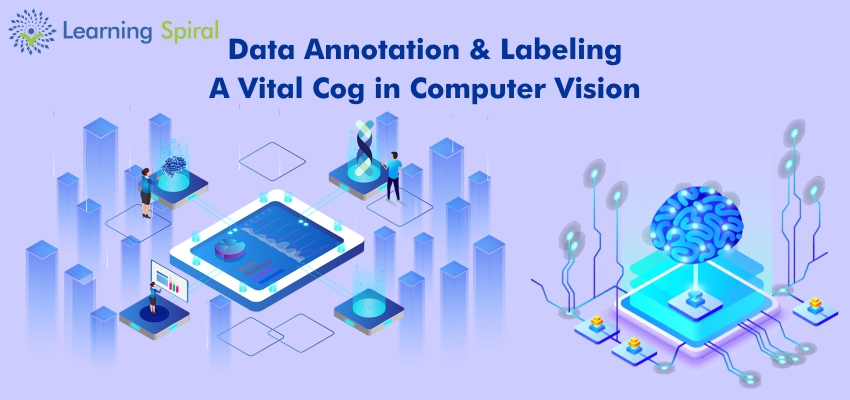 Data Annotation Company