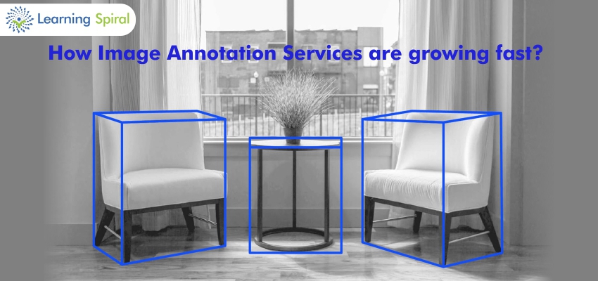 Image annotation services