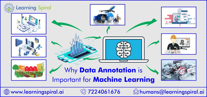 Data Annotation