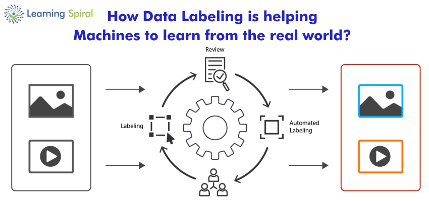 Data Annotation