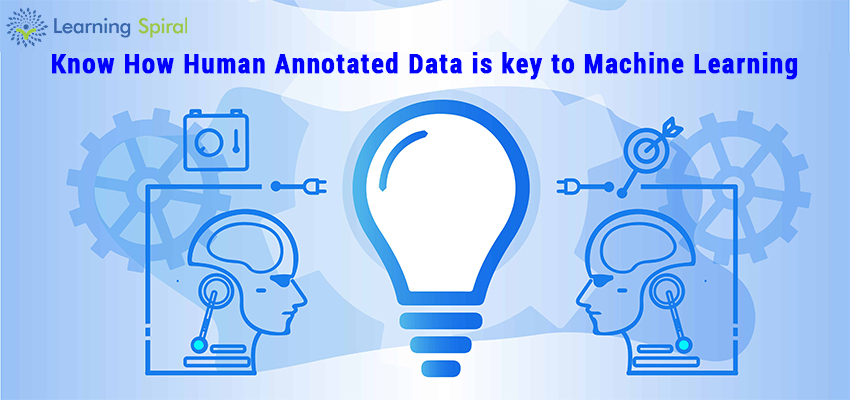 Data Annotation