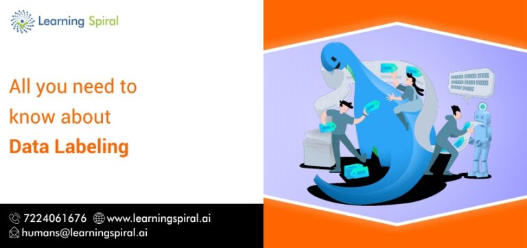 Data Labeling | Learning Spiral AI
