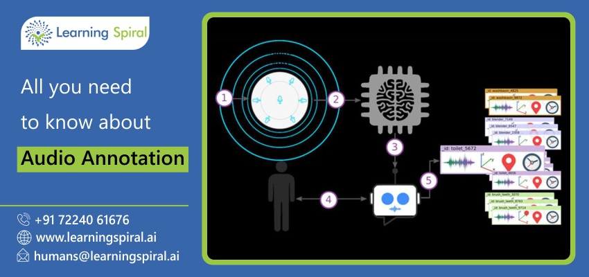 Data Annotation