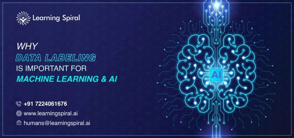 Why Data Labeling is important for Machine Learning and AI