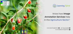 image_annotation_services_help_in_the_agriculture_sector