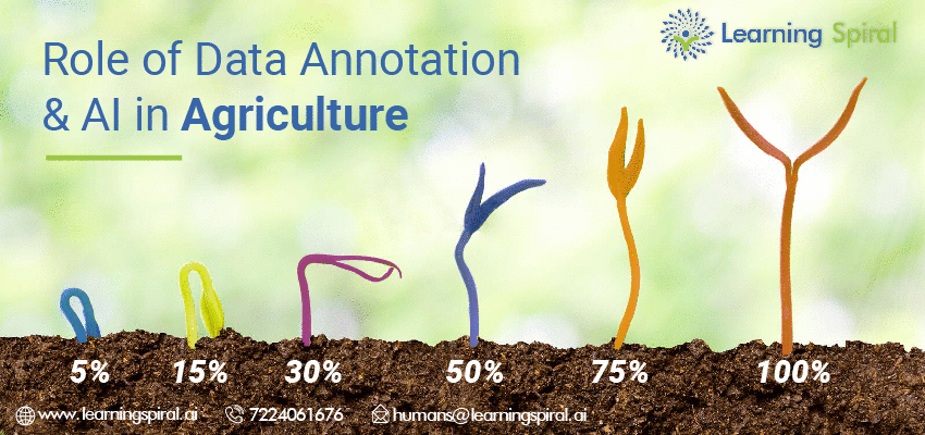 Role of Data Annotation & AI in Agriculture