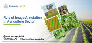 Role_of_Image_Annotation_in_Agriculture_Sector