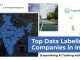 Top_Data_Labeling_Companies_in_India-01