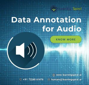 Audio_Data_Annotation-02