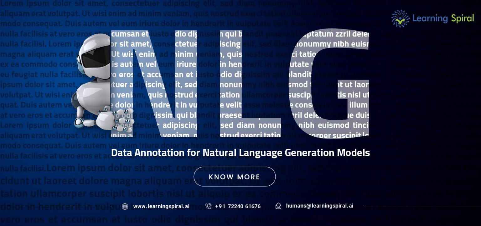 Data Annotation For Natural Language Generation Models | Learning Spiral AI