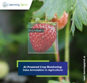 Data Annotation for Agriculture