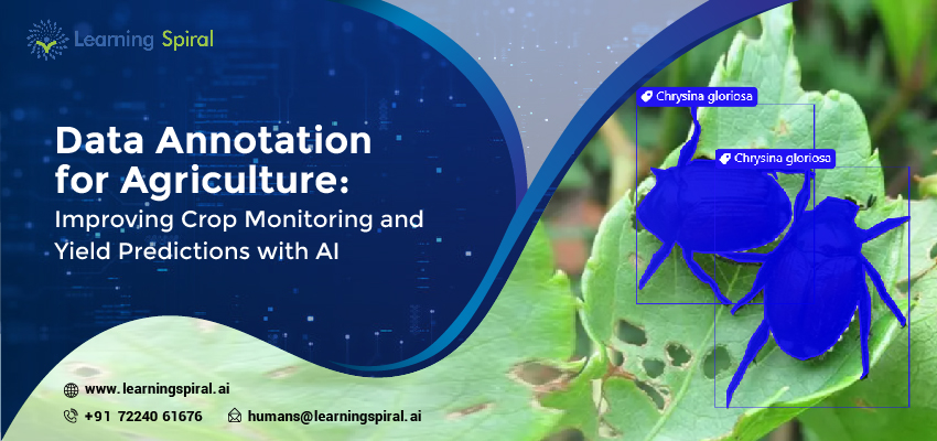 Data Annotation for Agriculture