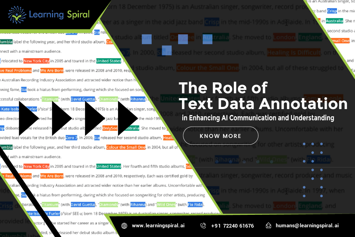The Role of Text Data Annotation in Enhancing AI Communication and Understanding