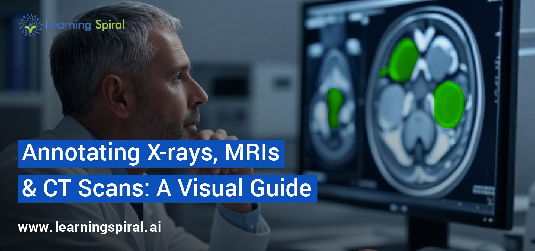 Medical Data Annotation
