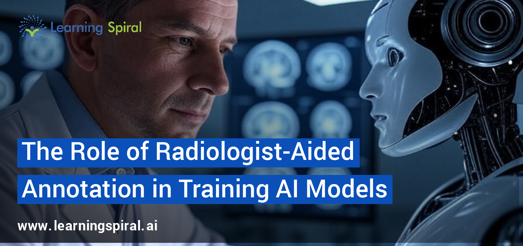 Radiologist reviewing medical scans for AI model training through precise annotation