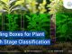 High-resolution plant images with bounding boxes for growth stage classification to improve precision agriculture and yield prediction.