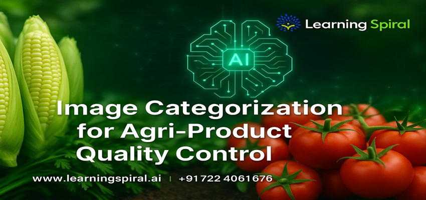 AI Image Categorization in Agriculture Quality Control