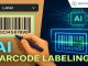 Data Labeling Company