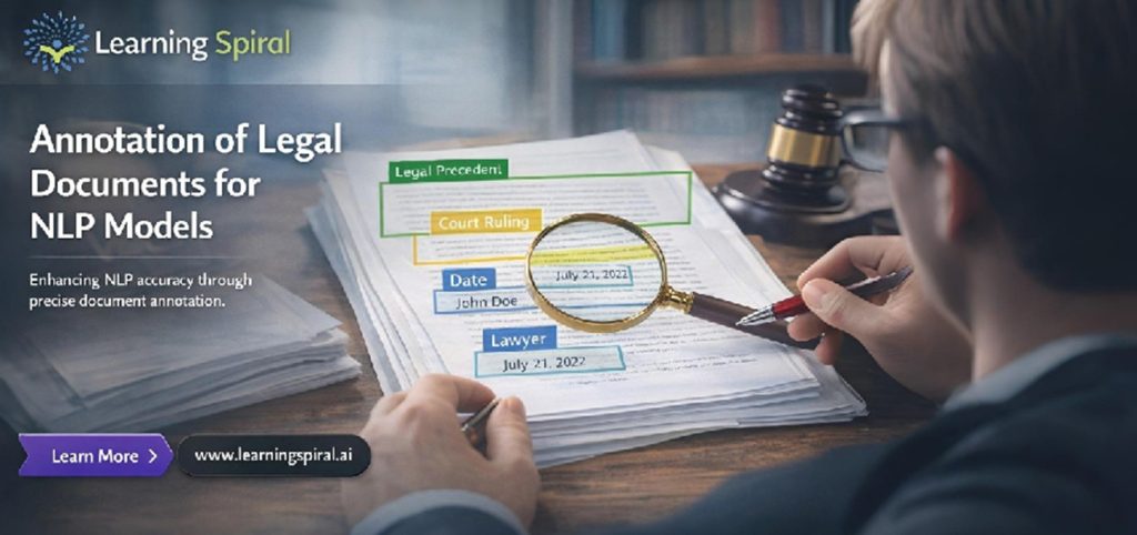 Legal Document Annotation for NLP Models